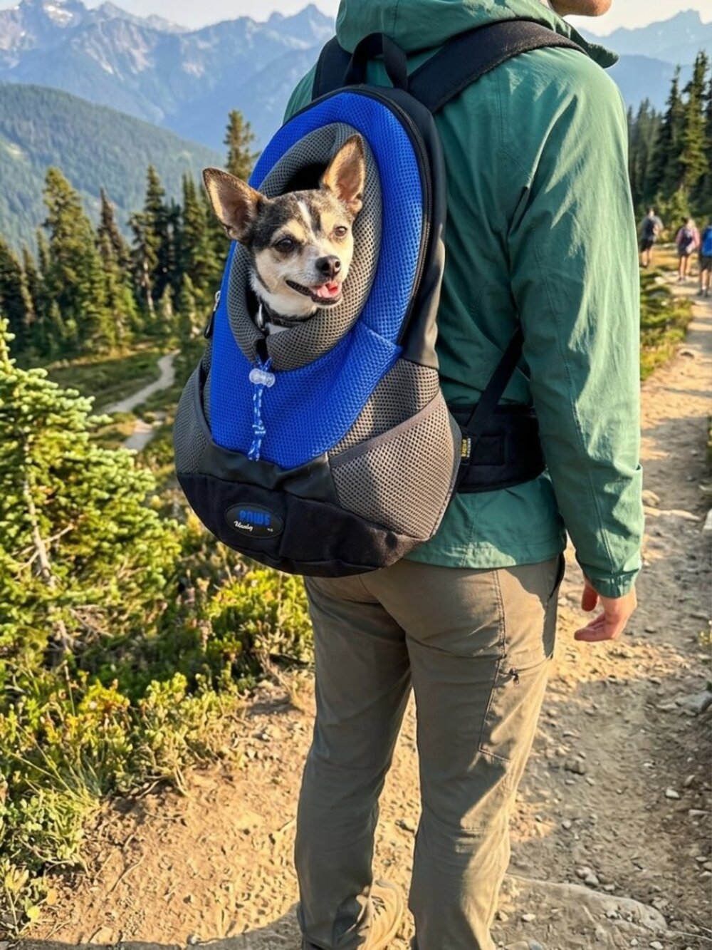 Wacky Paws Sporty Backpack Pet Carrier, Small Pet, Dog Carrier, Cat Carrier